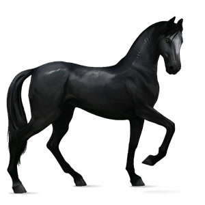 jazdecký kôň gaštanový