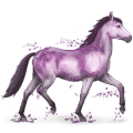 drahokamový kôň ametyst