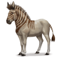 prehistorický kôň hydruntín