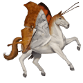 jednorožcový poník brunblakk