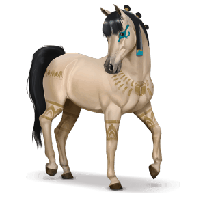 Špeciálny kôň amira