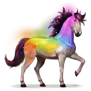kôň dúhy secret rainbow