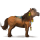 jazdecký kôň lipican škvrnitý šedý