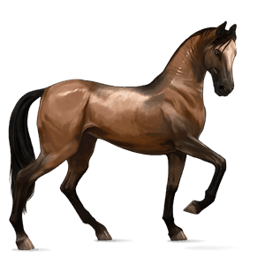 http://www.howrse.sk/media/equideo/image/chevaux/local/100041/normal.png?242583136