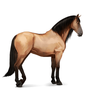 jazdecký kôň anglický plnokrvník svetlý hnedák