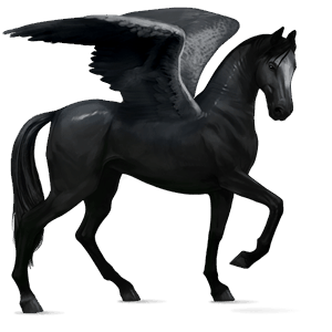jazdecký pegas appaloosa gaštanový leopard