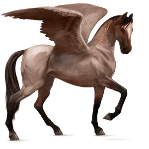 jazdecký pegas quarter horse palomino
