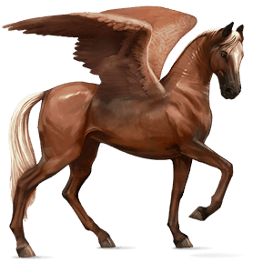 jazdecký pegas quarter horse hnedý ryšiak