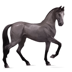 jazdecký kôň achaltekinský kôň palomino