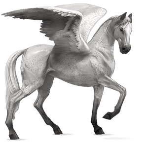 jazdecký pegas Írsky lovecký kôň svetlošedý
