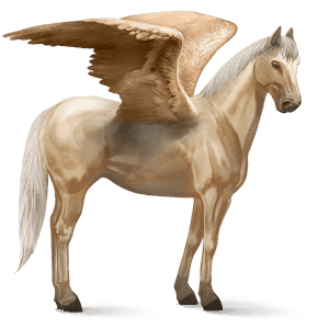 jazdecký pegas tennesseesky mimochodník palomino