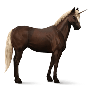 jazdecký jednorožec americký paint horse ryšiak tovero