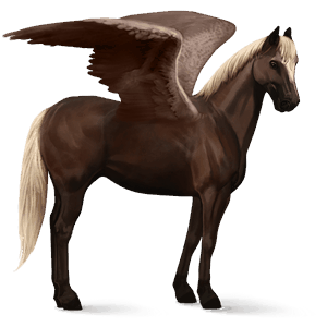 jazdecký pegas shagya arabian svetlošedý