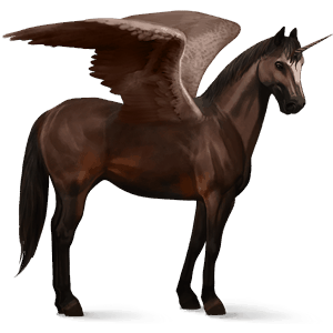 okrídlený jednorožcový poník  belgický jazdecký pony tmavý hnedák