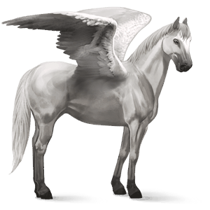 jazdecký pegas quarter horse svetlošedý
