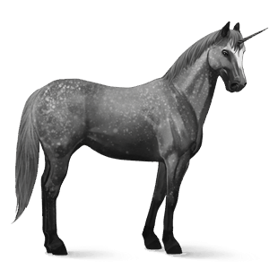 jazdecký jednorožec quarter horse škvrnitý šedý