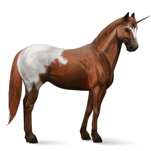 jazdecký jednorožec americký paint horse gaštanový tobiano