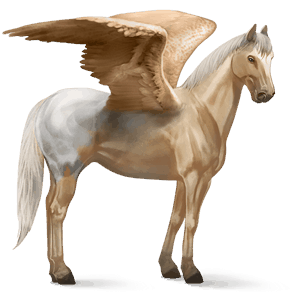 jazdecký pegas appaloosa palomino blanket