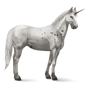 jazdecký jednorožec gypsy vanner gaštanový tobiano