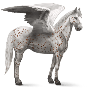 jazdecký pegas americký paint horse tmavý hnedák tobiano