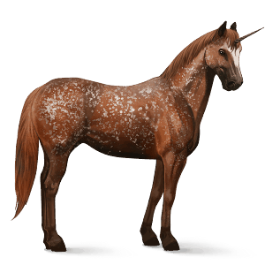 jazdecký jednorožec americký paint horse čerešňový tobiano