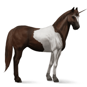 jazdecký jednorožec americký paint horse ryšiak tobiano
