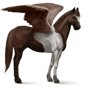 jazdecký pegas americký paint horse ryšiak tobiano