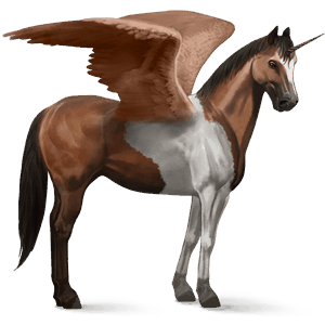 okrídlený jazdecký jednorožec americký paint horse hnedák tobiano