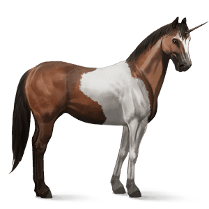 jazdecký jednorožec americký paint horse hnedák tobiano