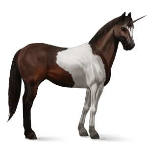 jazdecký jednorožec gypsy vanner tmavý hnedák tobiano