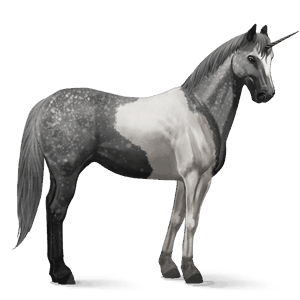 jazdecký jednorožec americký paint horse čierny tobiano