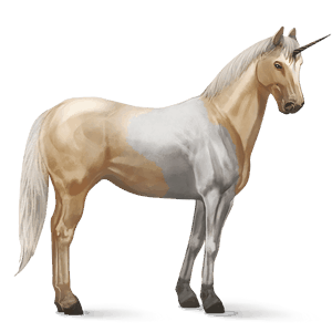 jazdecký jednorožec americký paint horse čerešňový tobiano