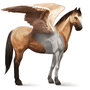 jazdecký pegas americký paint horse plavák tobiano