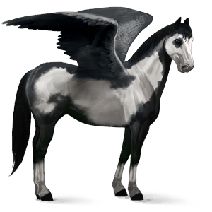 jazdecký pegas americký paint horse čierny overo