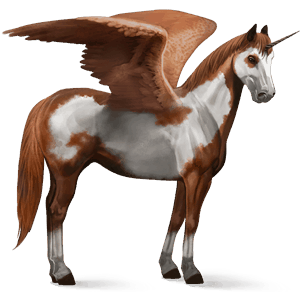okrídlený jazdecký jednorožec americký paint horse gaštanový overo