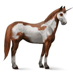 jazdecký jednorožec americký paint horse čierny tovero