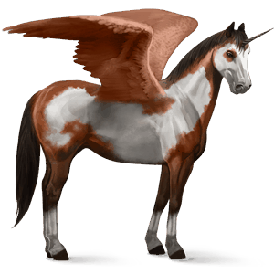 okrídlený jazdecký jednorožec americký paint horse čerešňový overo