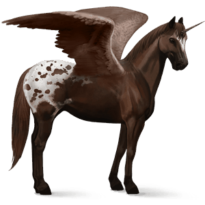 okrídlený jazdecký jednorožec americký paint horse ryšiak tobiano