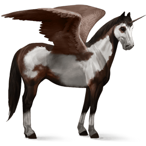 okrídlený jazdecký jednorožec americký paint horse tmavý hnedák tovero