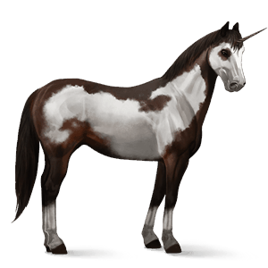 jazdecký jednorožec americký paint horse hnedák overo