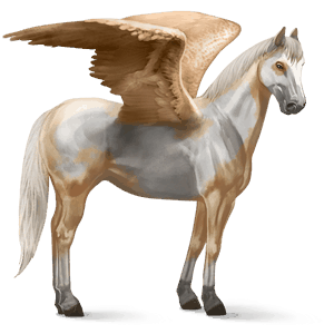 jazdecký pegas quarter horse Čierny