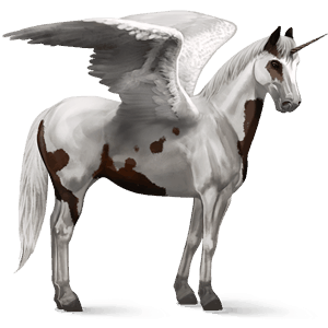 okrídlený jazdecký jednorožec americký paint horse gaštanový tobiano