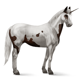 jazdecký jednorožec americký paint horse tmavý hnedák tovero
