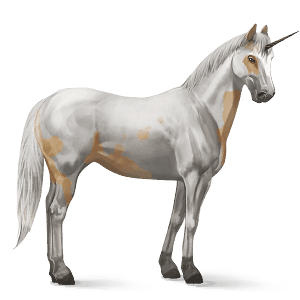 jazdecký jednorožec palomino tovero
