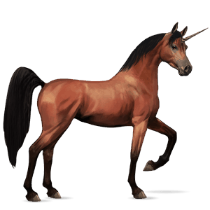 jazdecký jednorožec arabský kôň hnedák