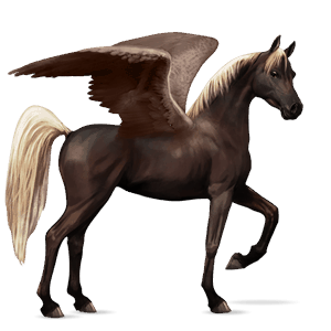 jazdecký pegas shagya arabian gaštanový