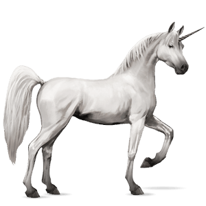 jazdecký jednorožec shagya arabian svetlošedý