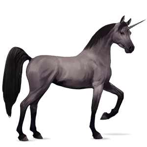 jazdecký jednorožec shagya arabian myšací šedý