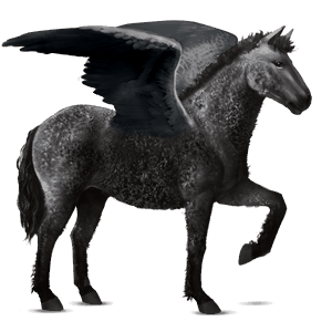 jazdecký pegas frízsky kôň čierny