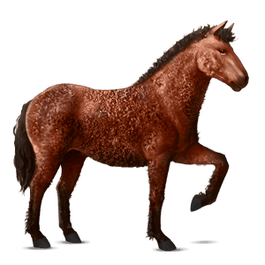 jazdecký kôň curly gaštanový